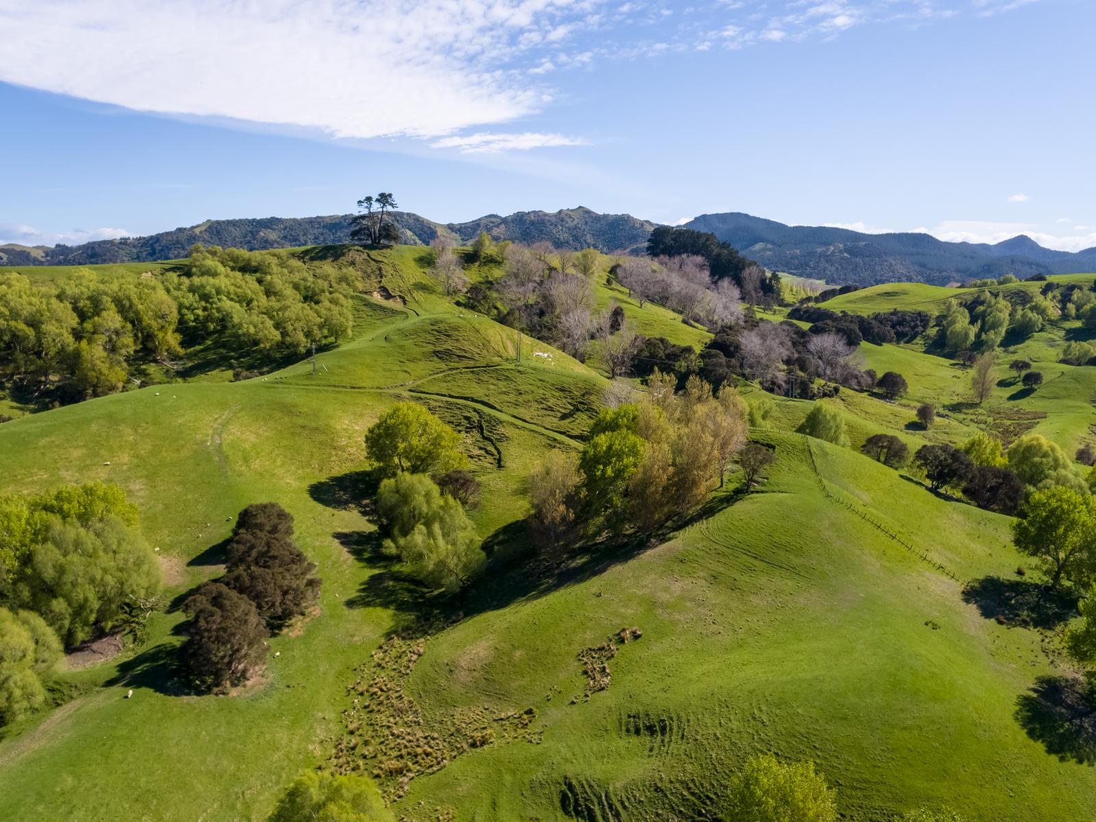 2122 Masterton Castlepoint Road, Masterton