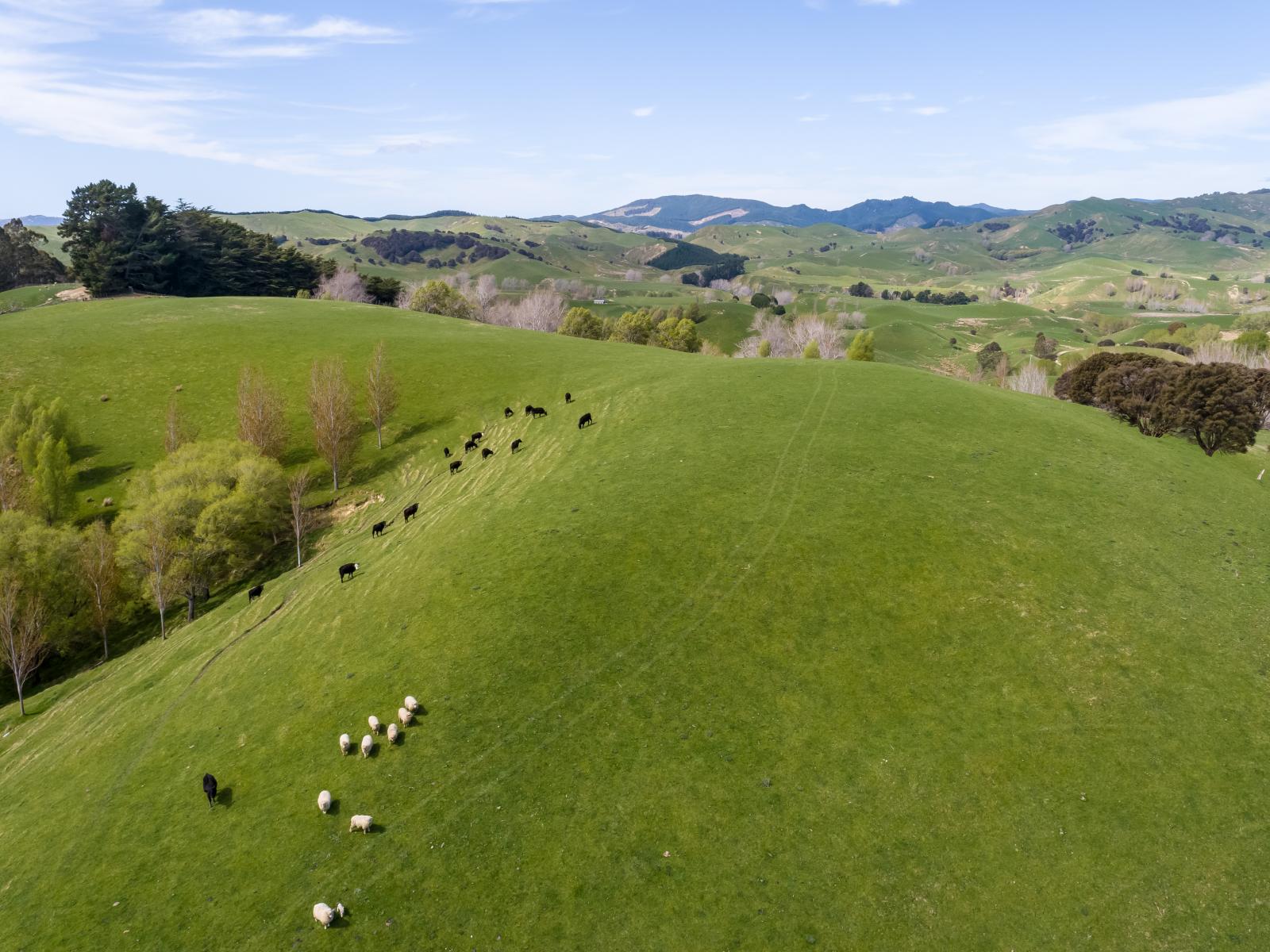 2122 Masterton Castlepoint Road, Masterton