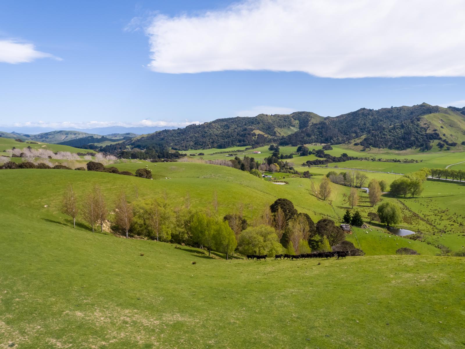 2122 Masterton Castlepoint Road, Masterton