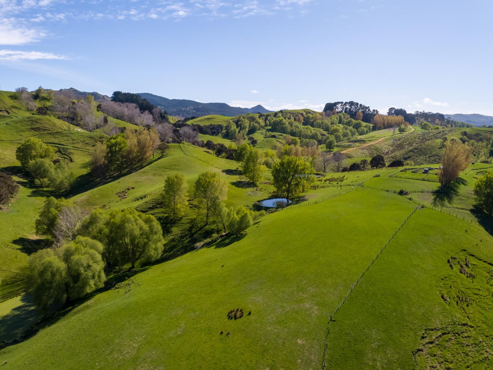 2122 Masterton Castlepoint Road, Masterton