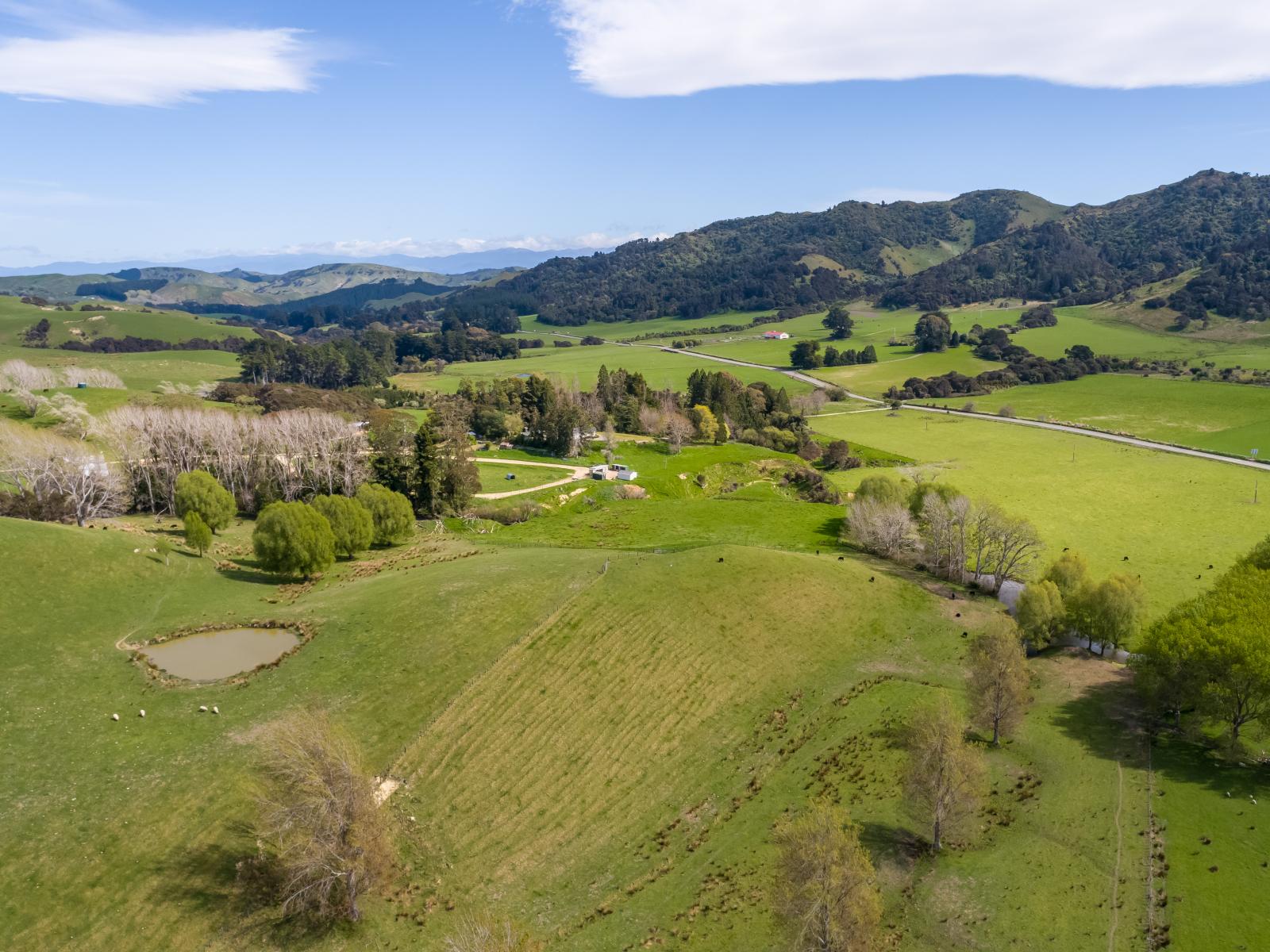 2122 Masterton Castlepoint Road, Masterton