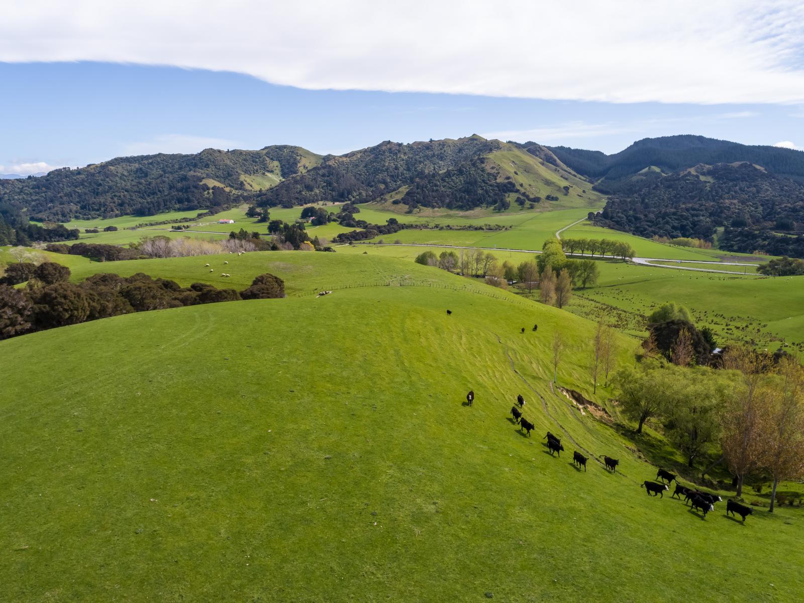 2122 Masterton Castlepoint Road, Masterton