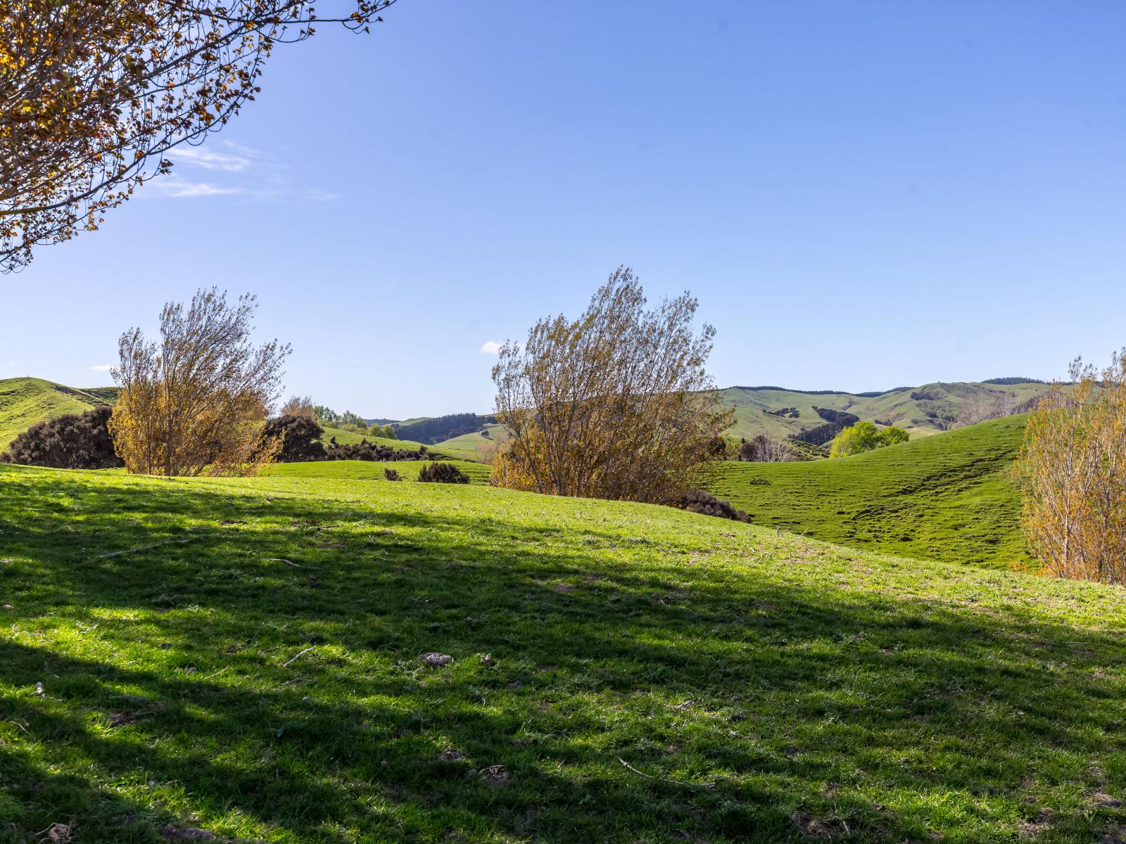 2122 Masterton Castlepoint Road, Masterton