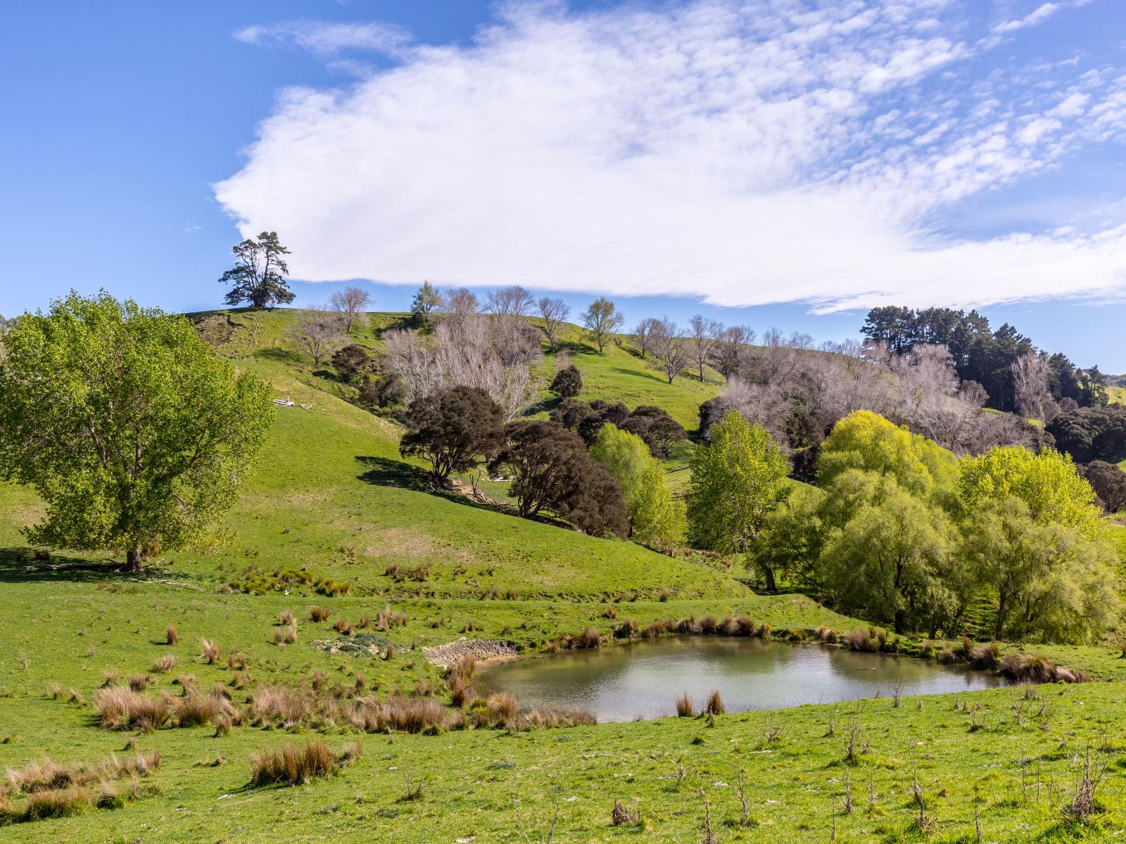 2122 Masterton Castlepoint Road, Masterton