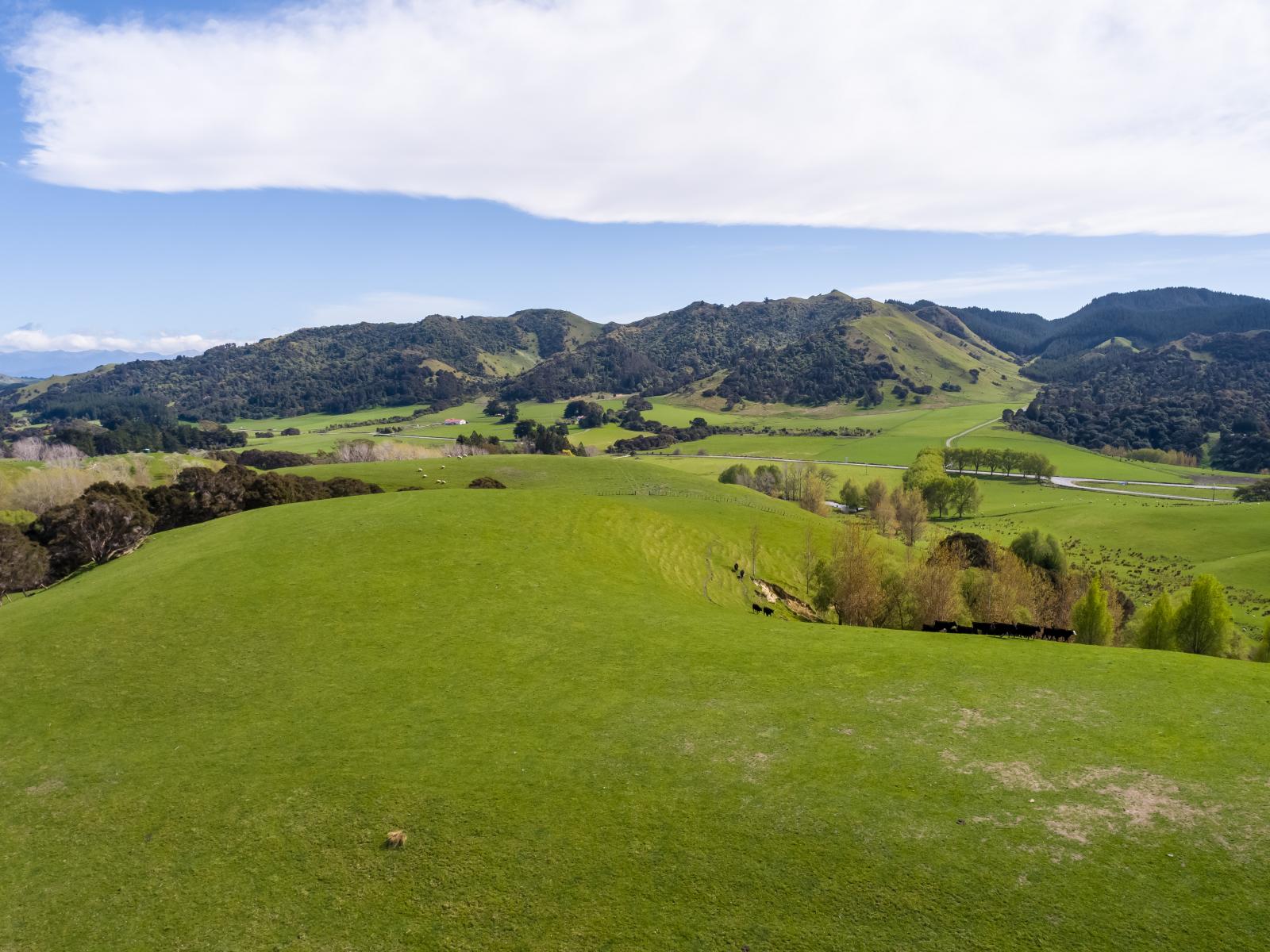 2122 Masterton Castlepoint Road, Masterton