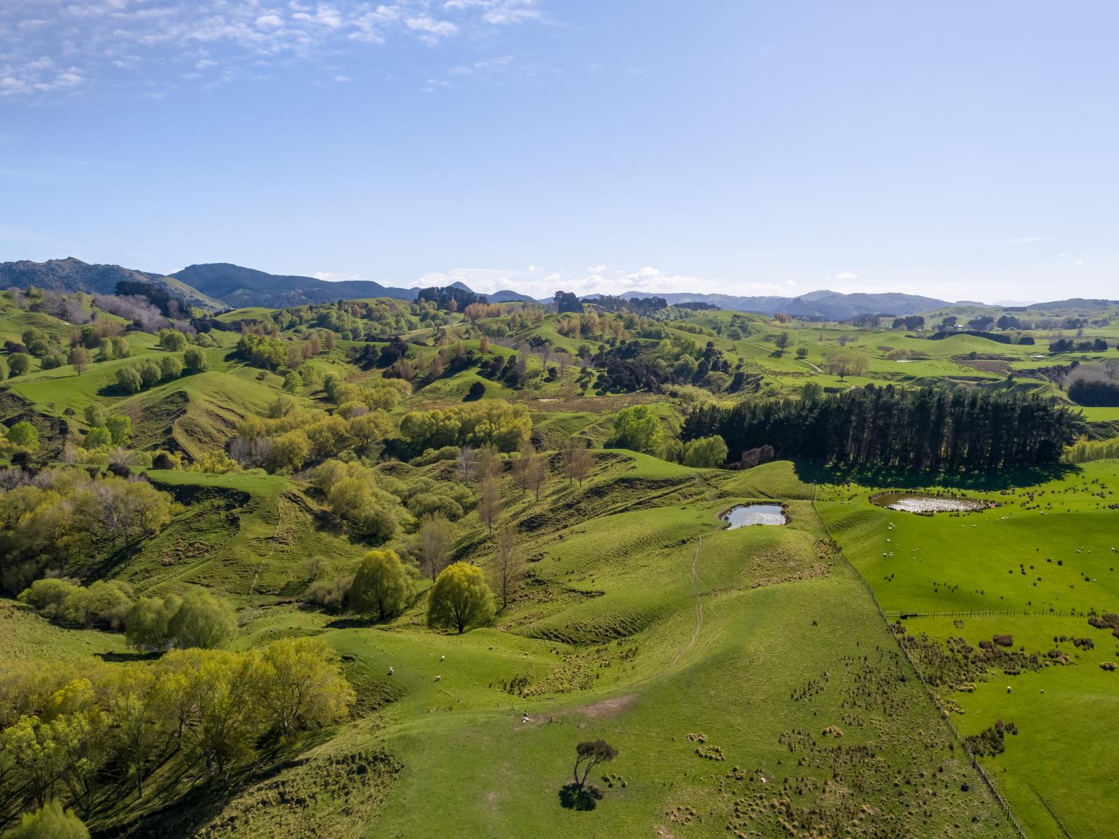 2122 Masterton Castlepoint Road, Masterton