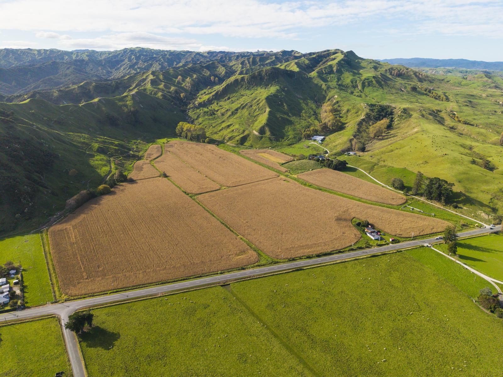 2839 State Highway 2, Nuhaka