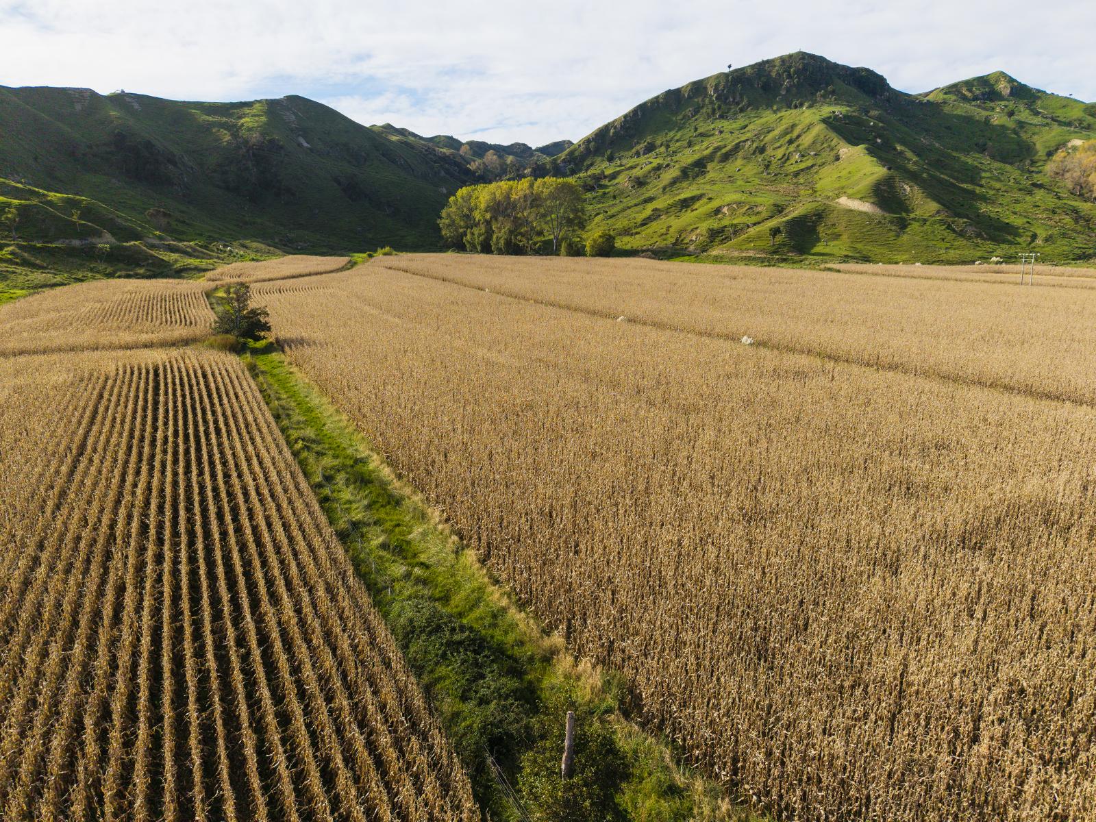 2839 State Highway 2, Nuhaka
