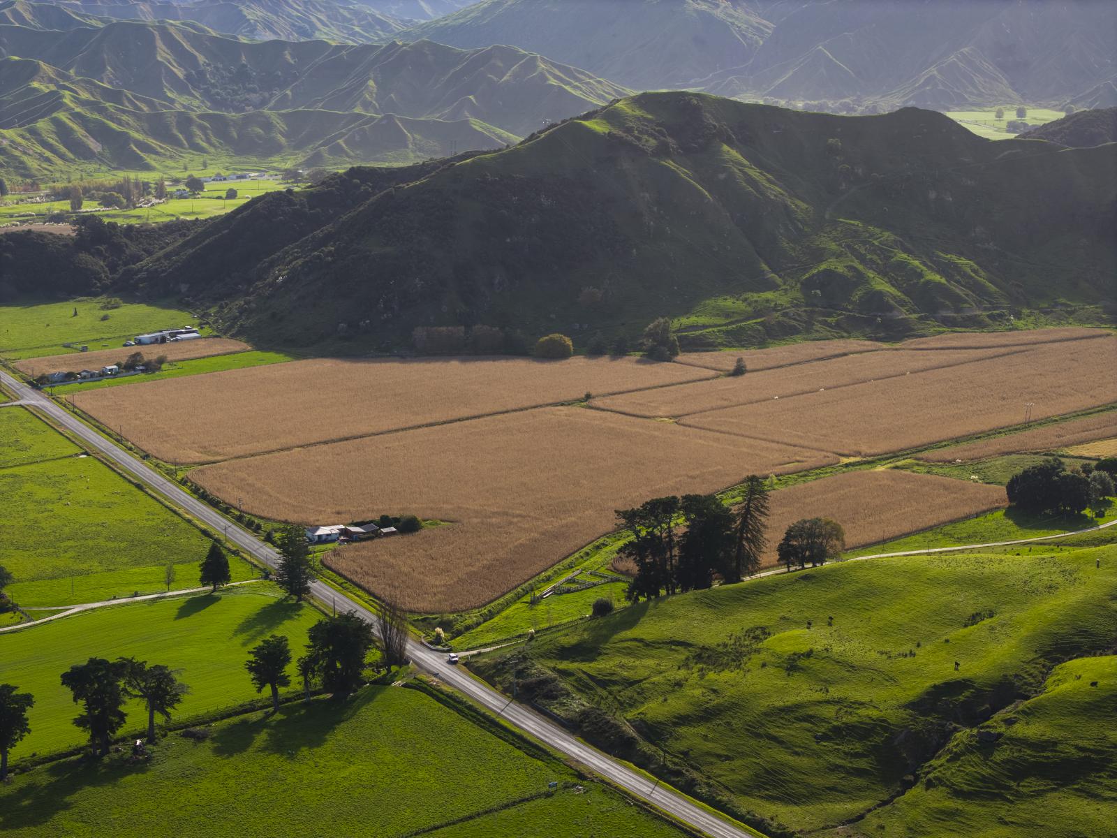 2839 State Highway 2, Nuhaka