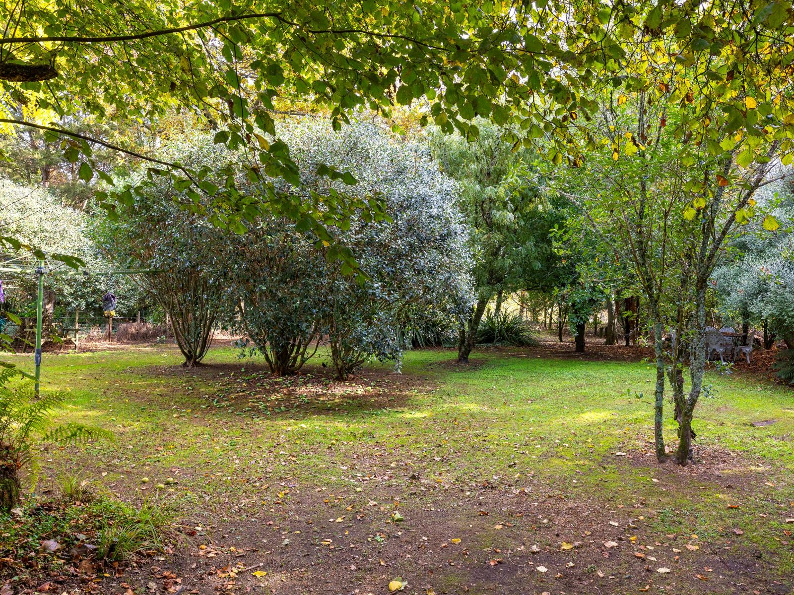 1429 River Road, Broadlands