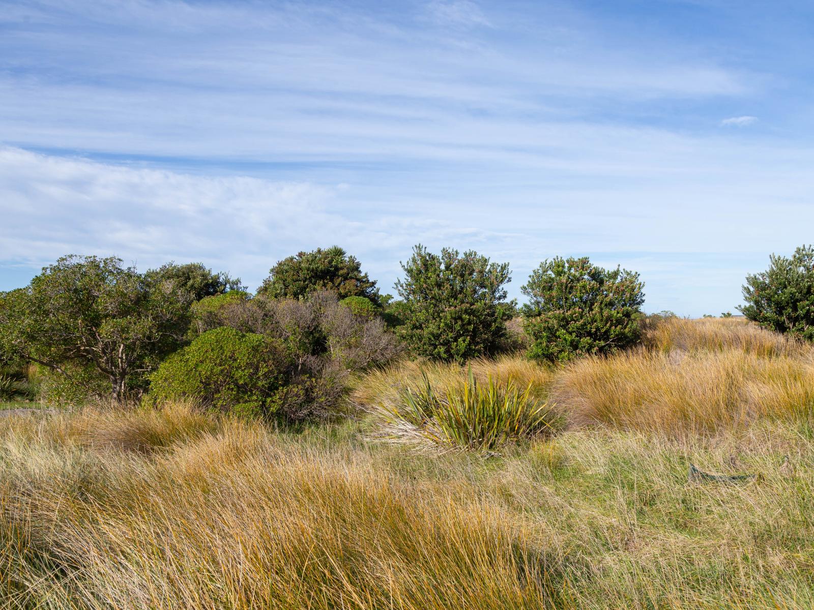 7 Nunu Drive, Flat Point
