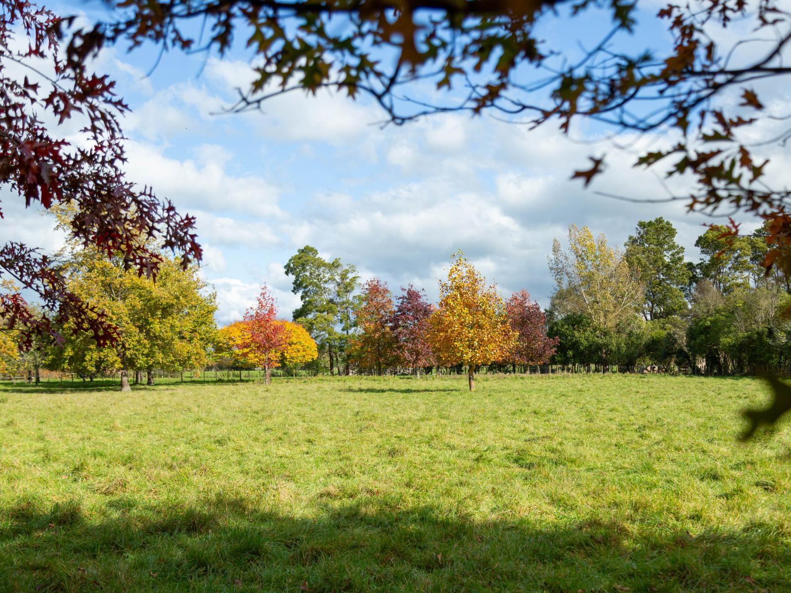Lot 2, 30 Market Road, Greytown