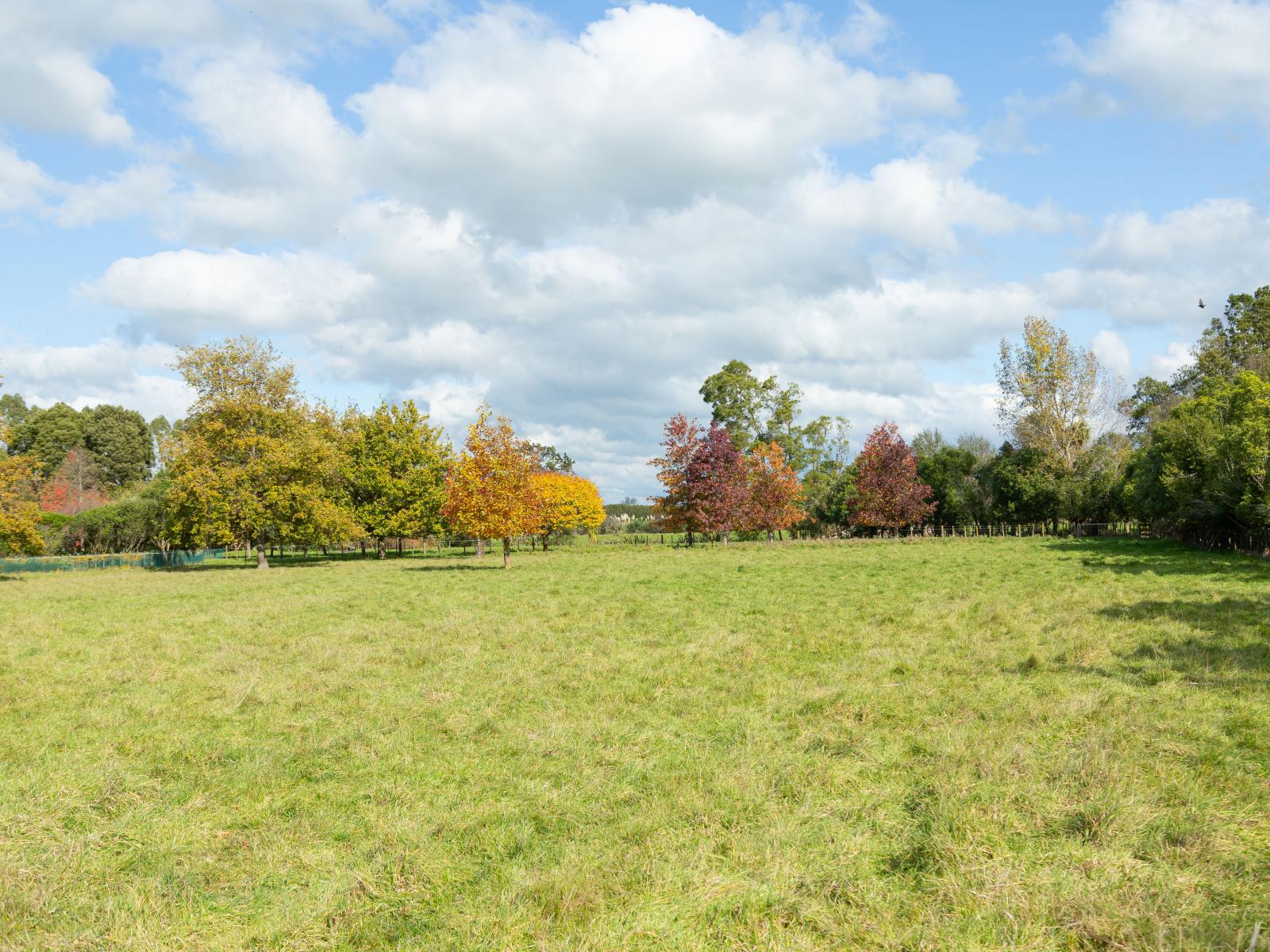 Lot 2, 30 Market Road, Greytown