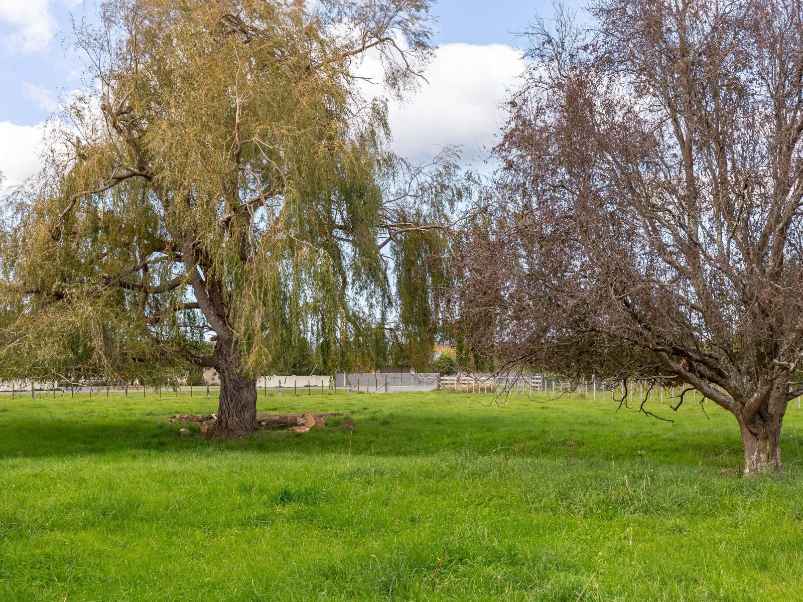 231B Belvedere Road, Carterton