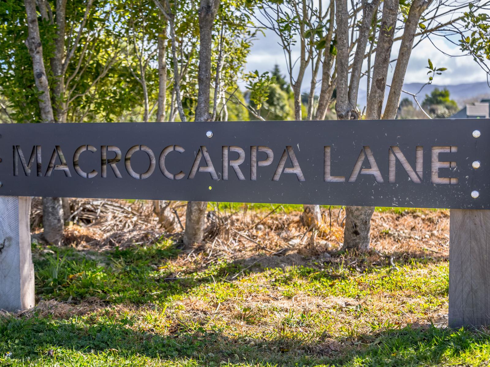 5,7,8a Macrocarpa Lane, Carterton