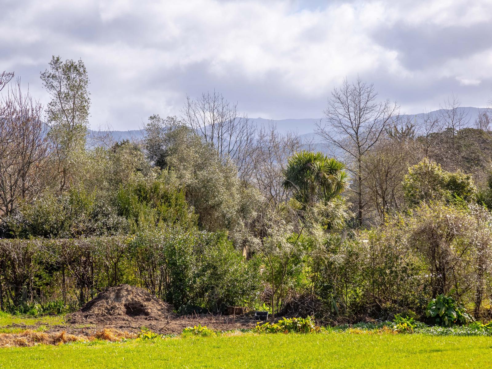 5,7,8a Macrocarpa Lane, Carterton