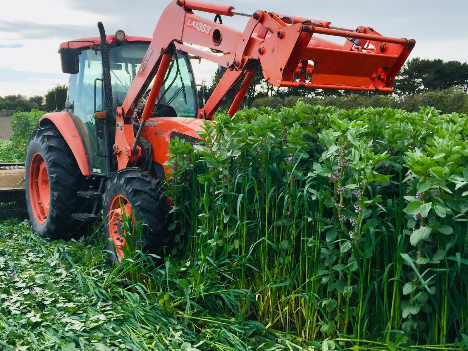 1522 Parewanui Road, Bulls