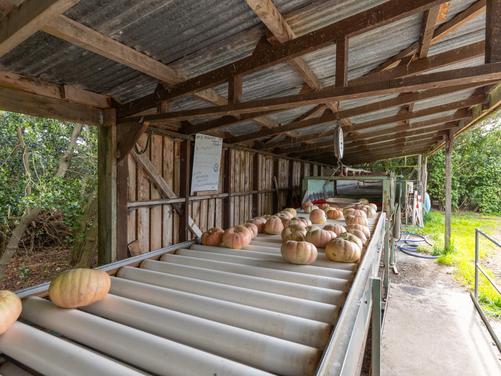 1522 Parewanui Road, Bulls
