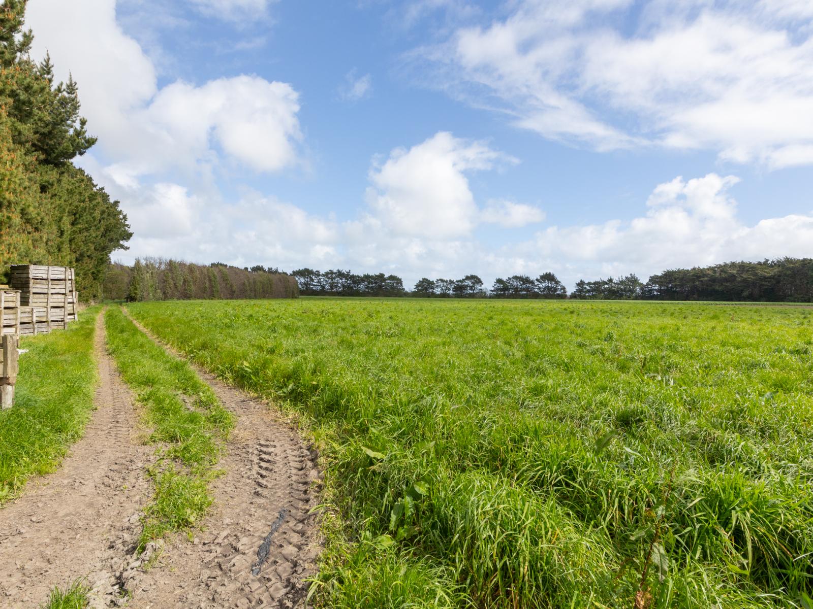 1522 Parewanui Road, Bulls