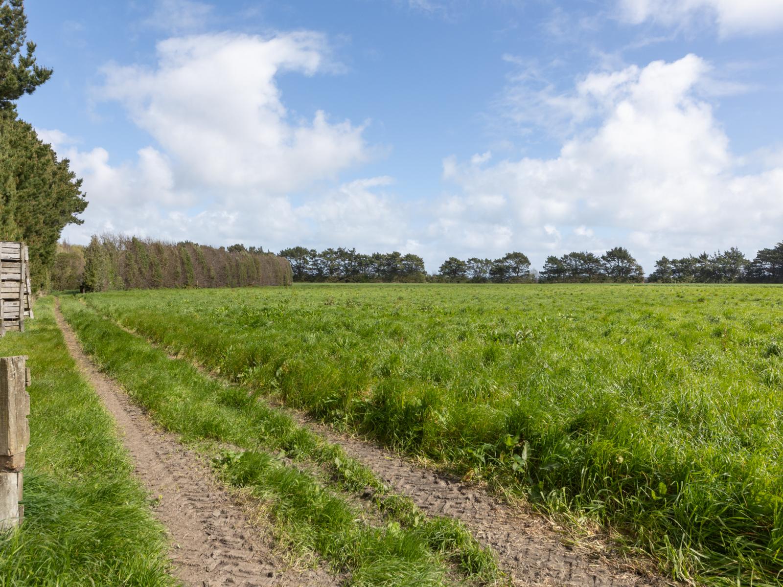 1522 Parewanui Road, Bulls