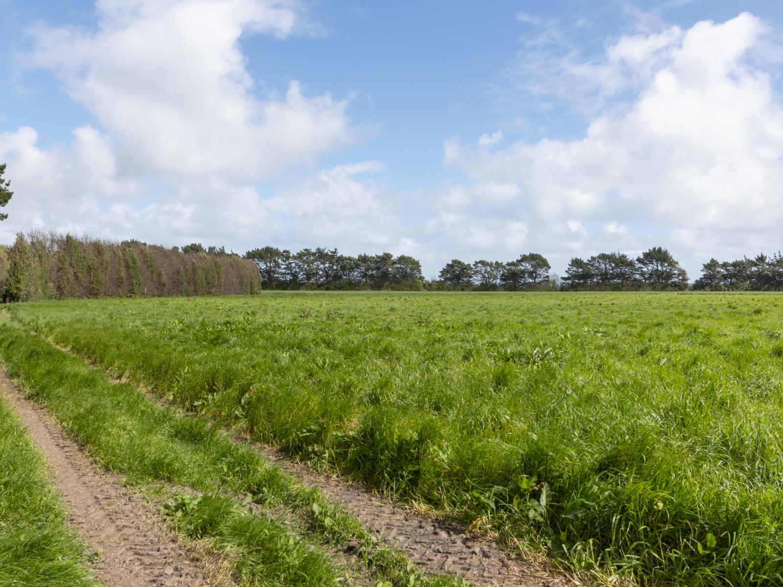 1522 Parewanui Road, Bulls