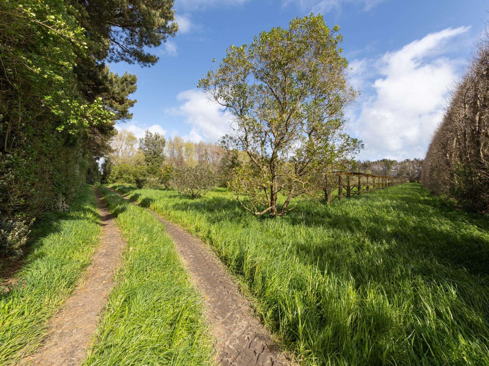 1522 Parewanui Road, Bulls
