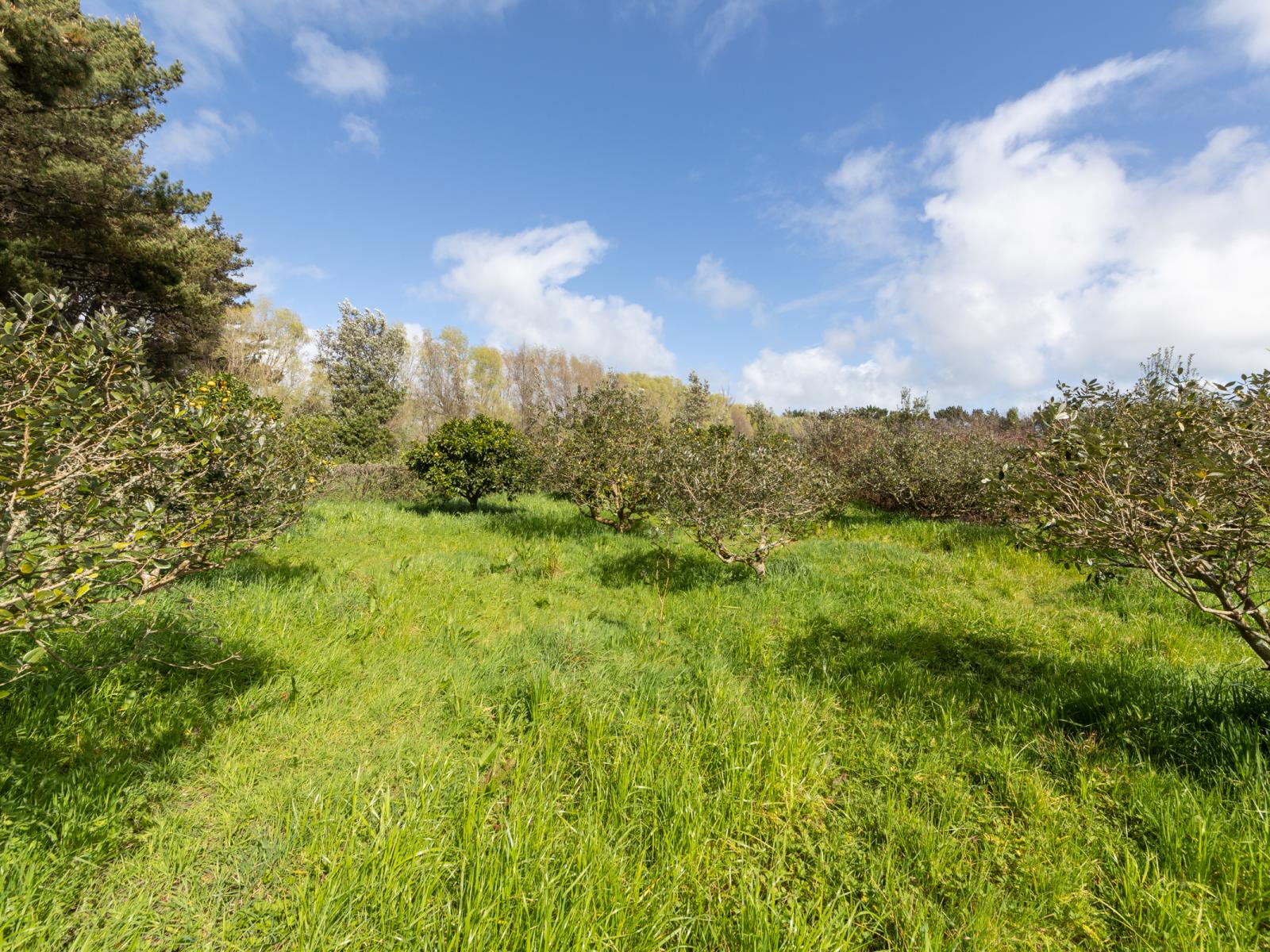 1522 Parewanui Road, Bulls