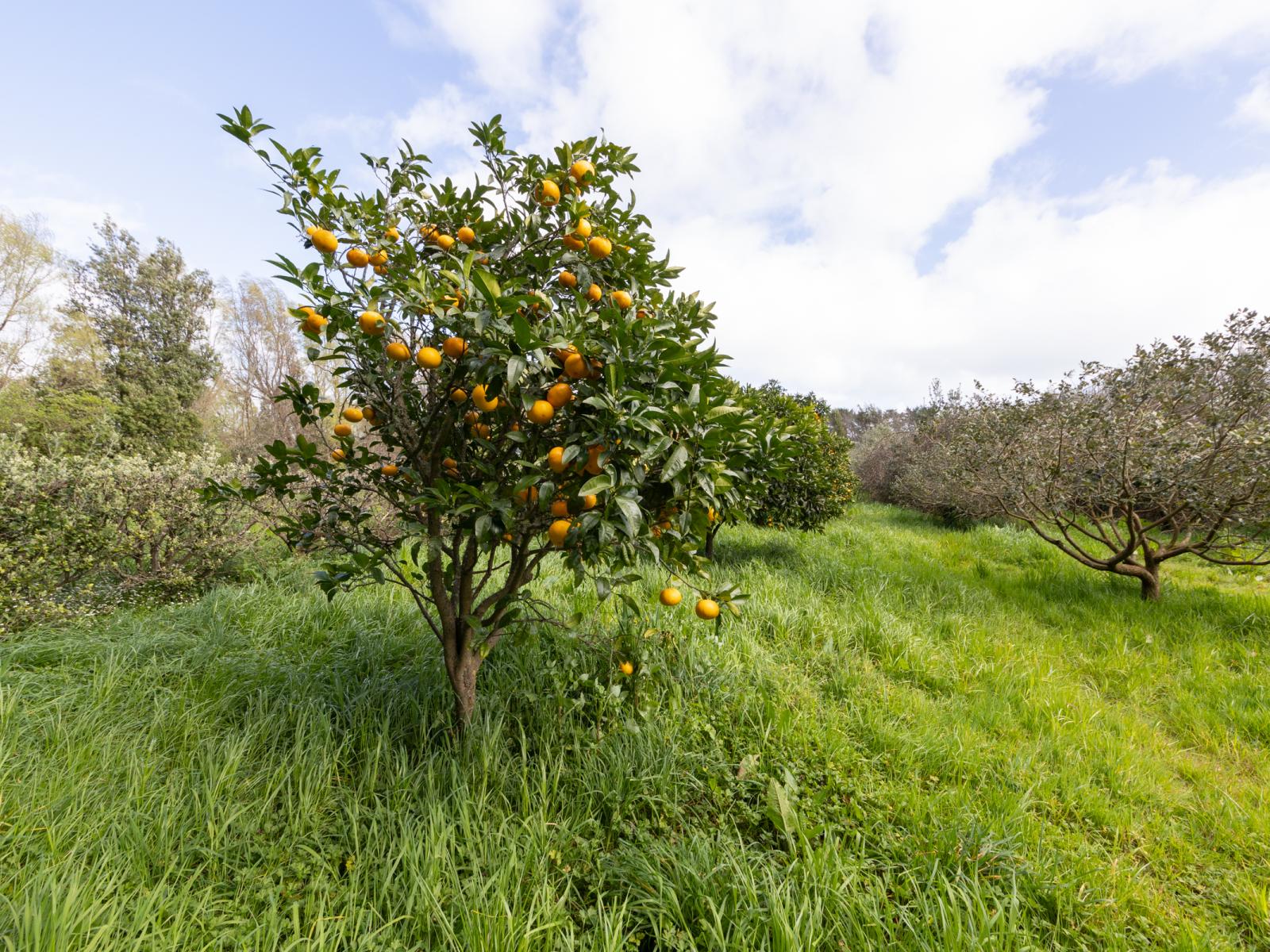 1522 Parewanui Road, Bulls