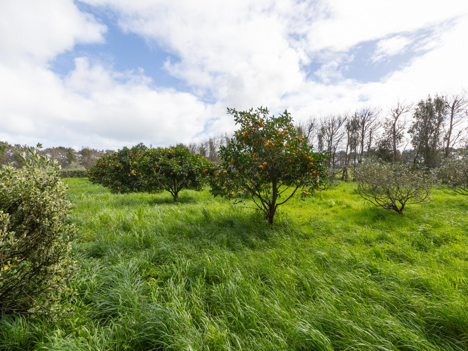 1522 Parewanui Road, Bulls