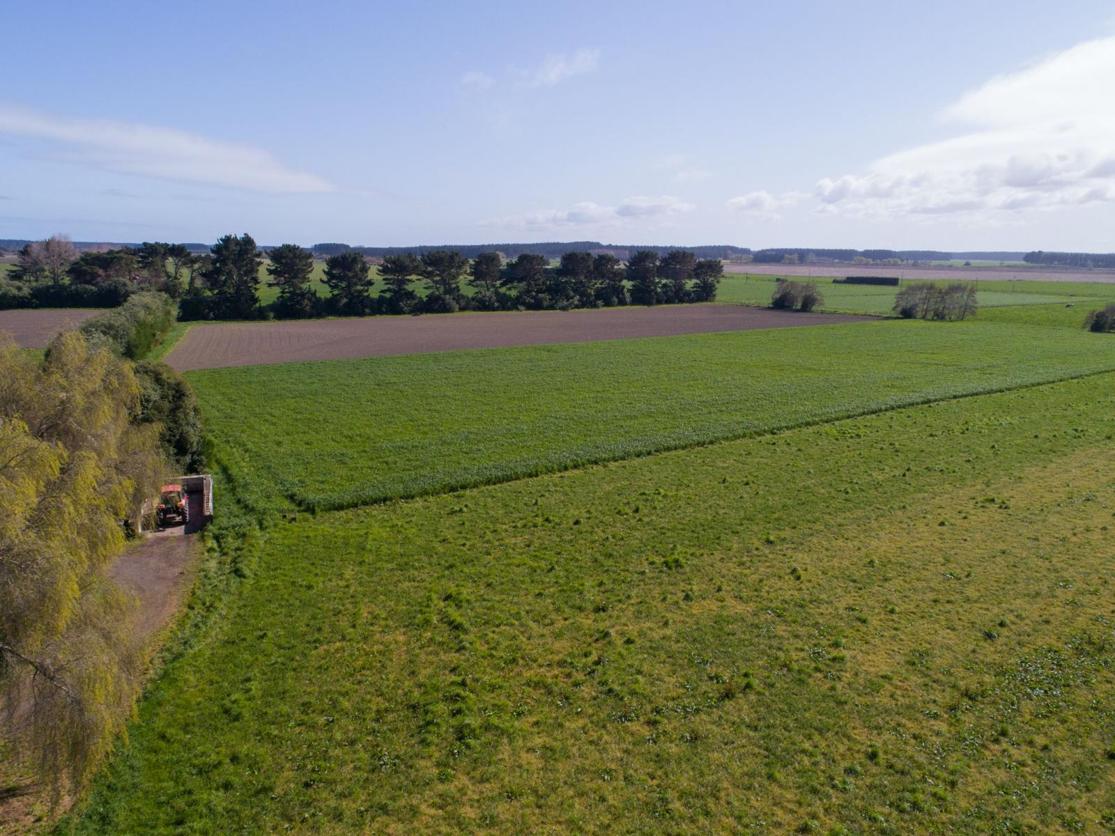 1522 Parewanui Road, Bulls