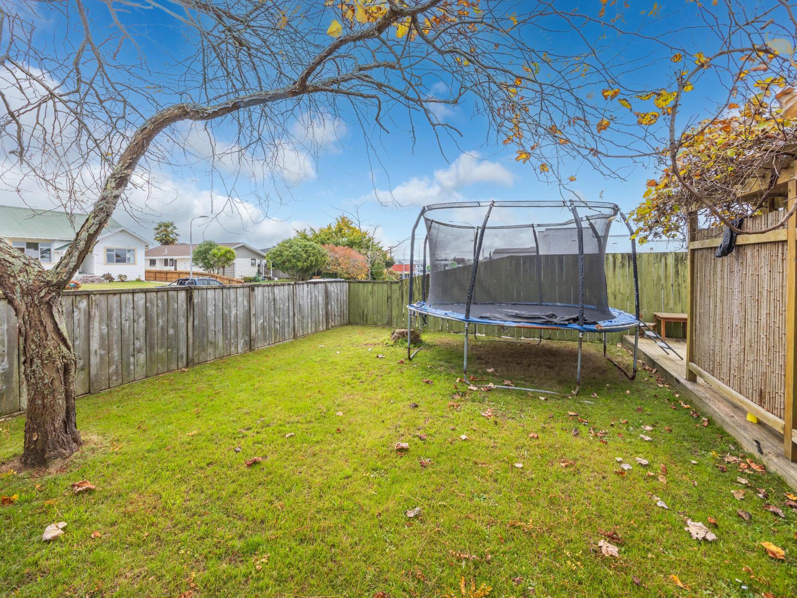 71 Fraser Street, Te Awamutu