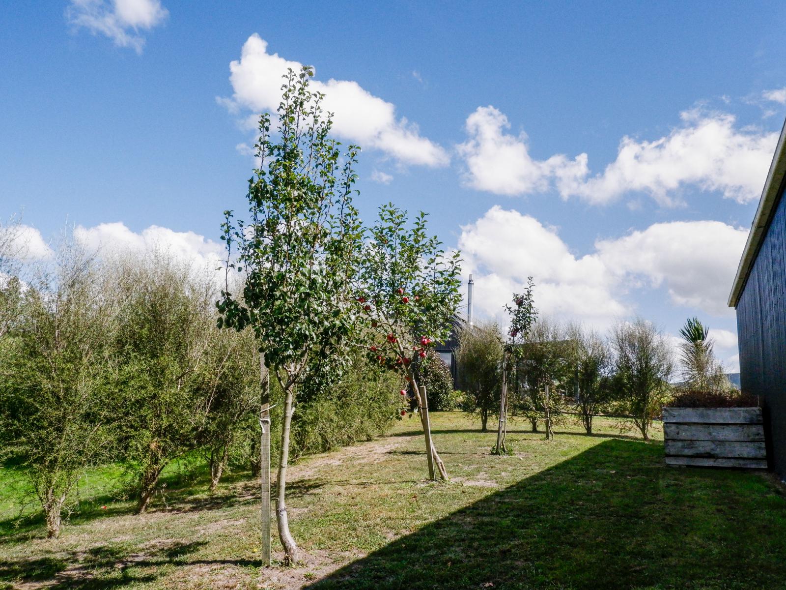 64B Racecourse Road, Waipawa