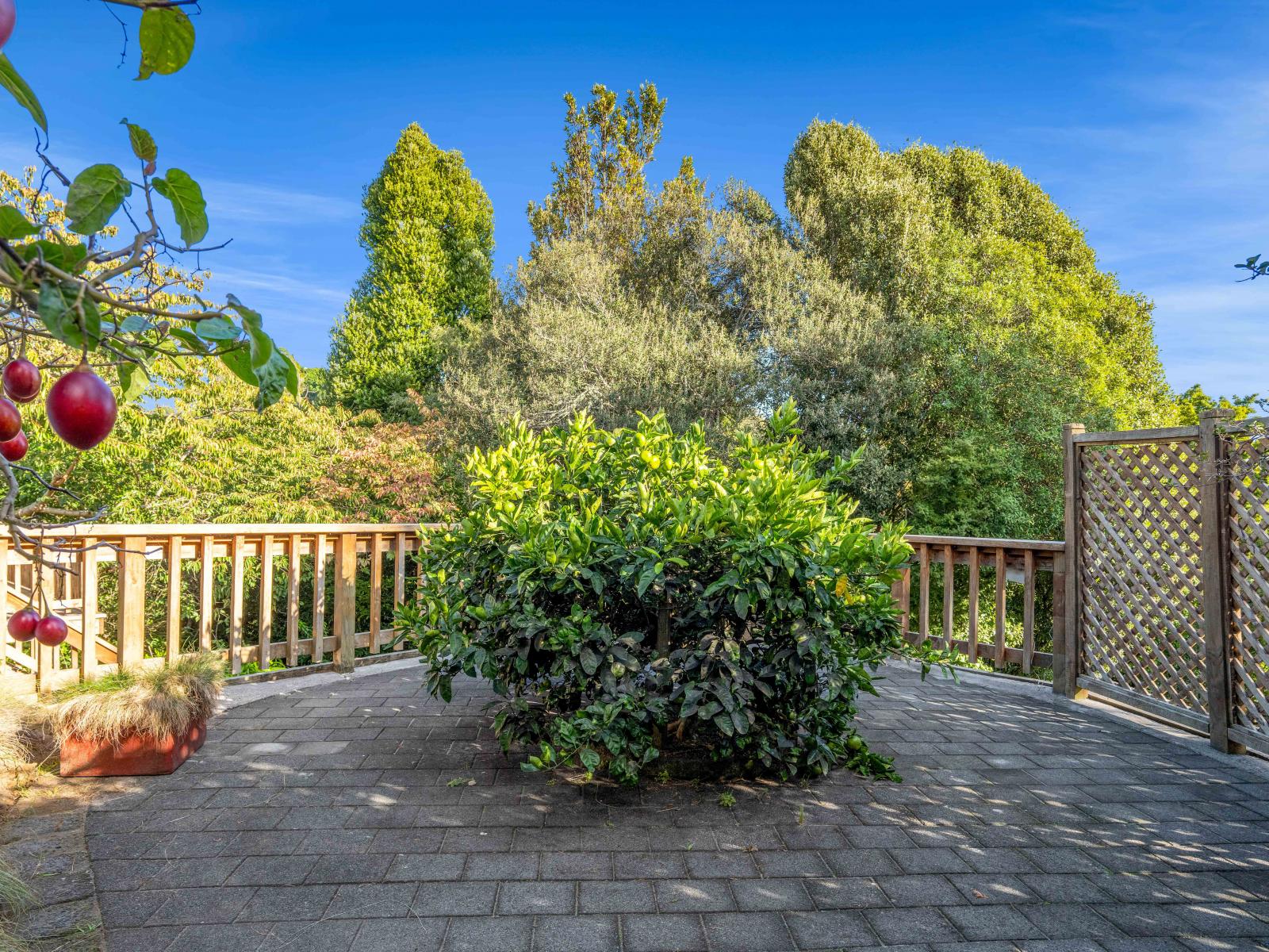 21b Sequoia Grove, Merrilands