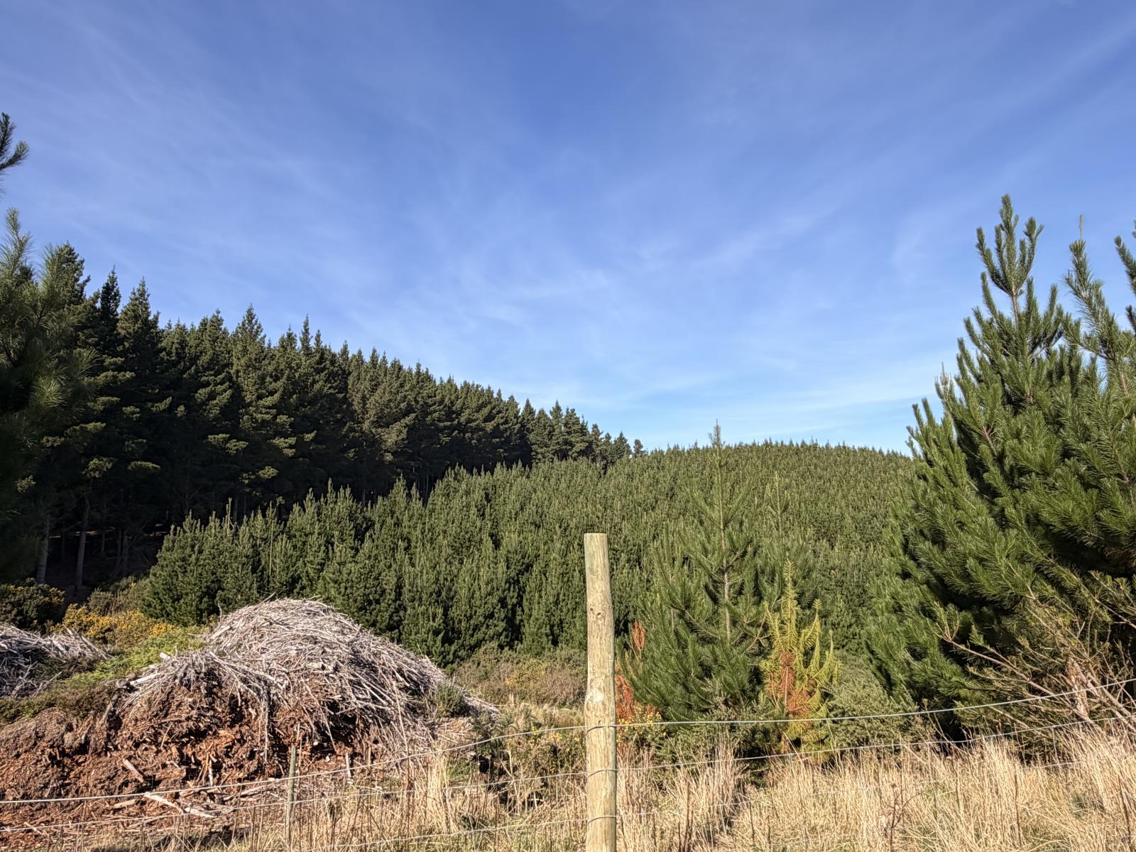 Shag Point Road, Palmerston