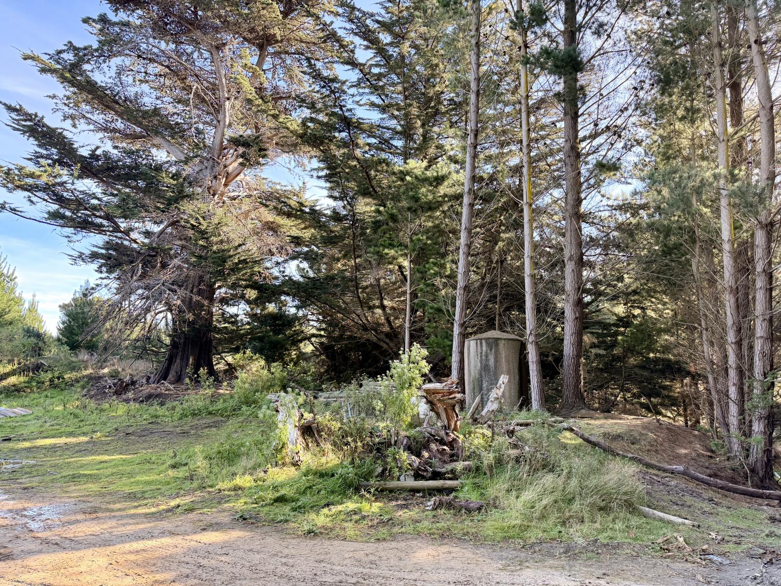 Shag Point Road, Palmerston