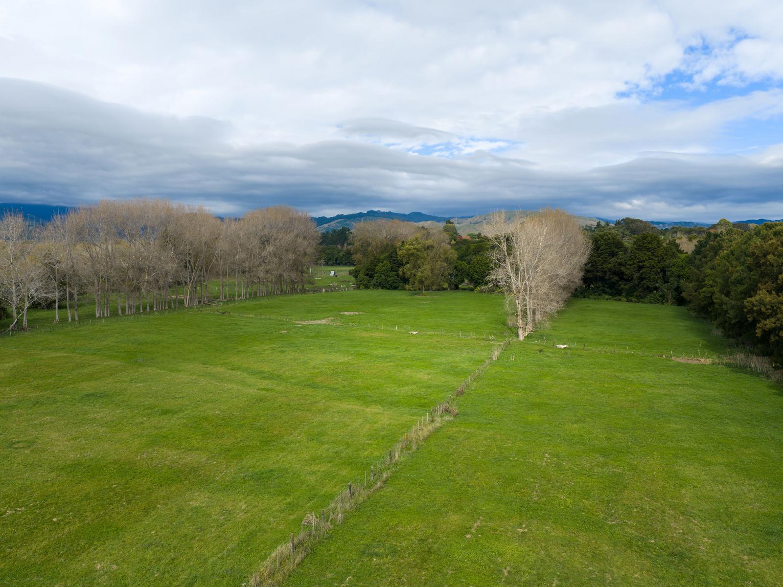 59 Harper Road, Hautere