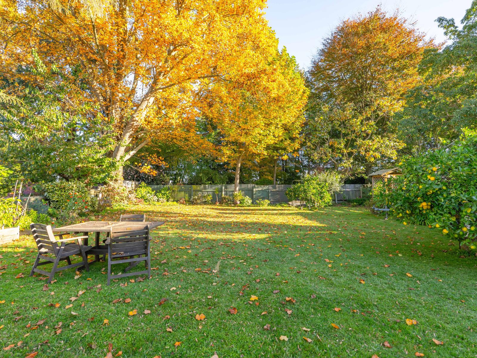 13 Tamihana Street, Matamata