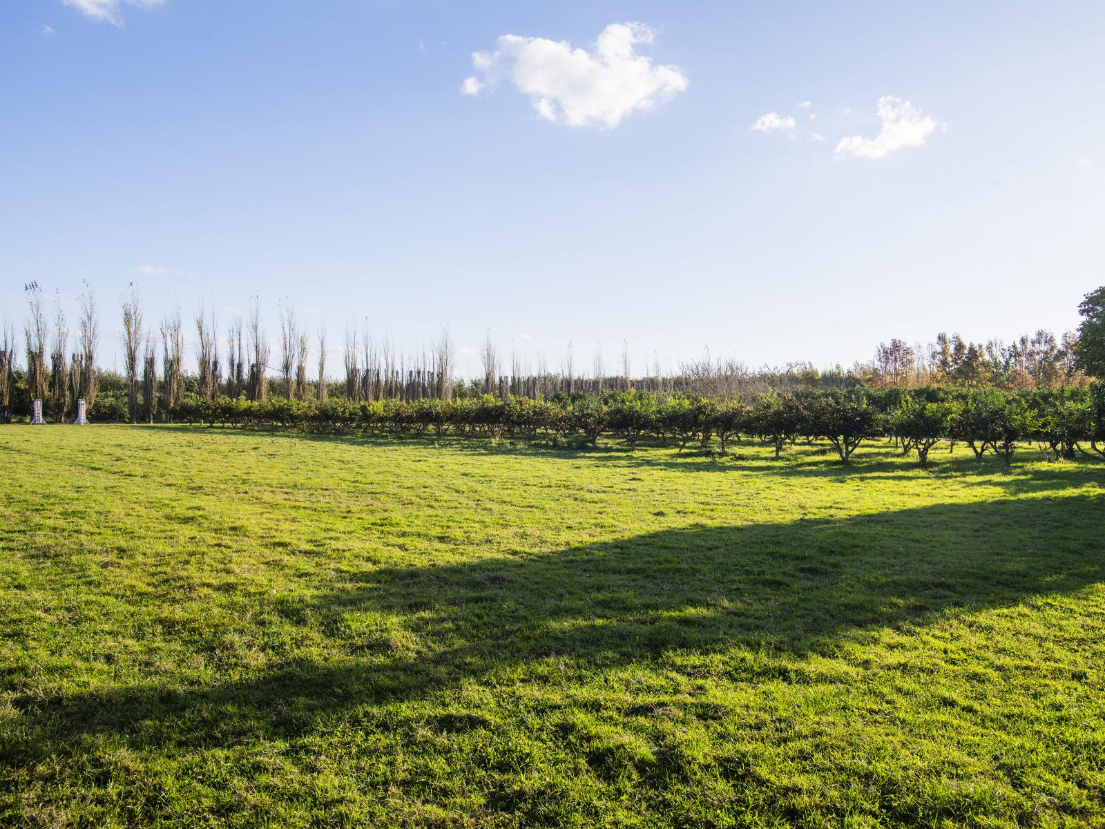 19 Kemp Road, Matawhero