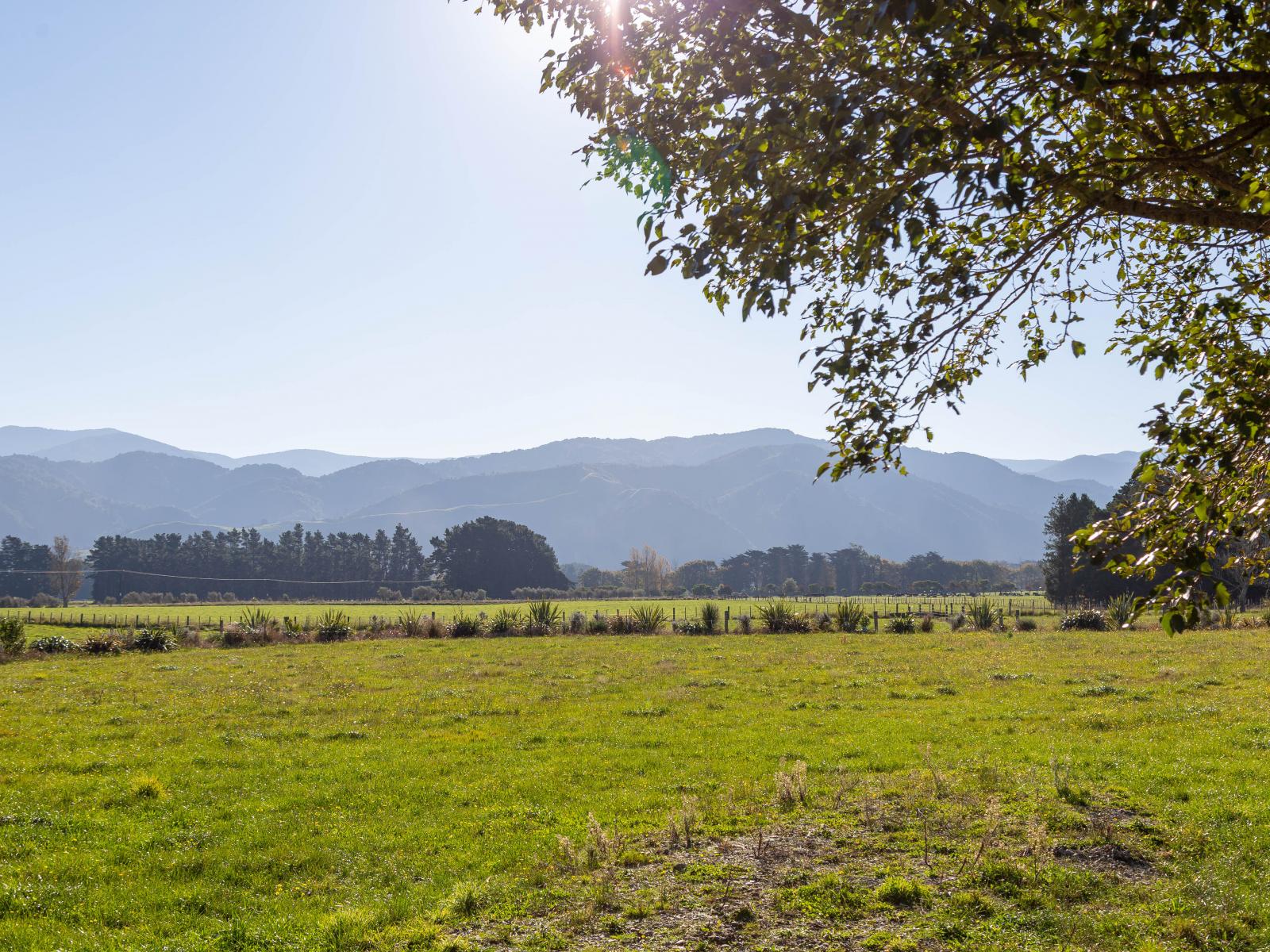 Lots 2 and 4 277 Woodside Road, Greytown
