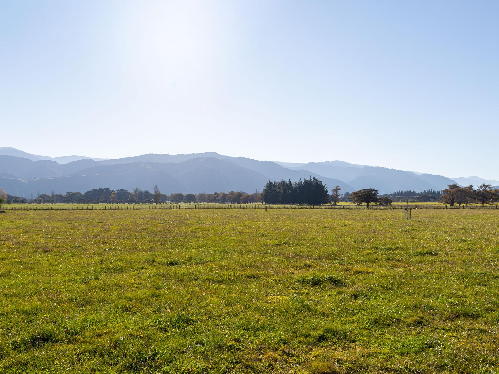 Lots 2 and 4 277 Woodside Road, Greytown