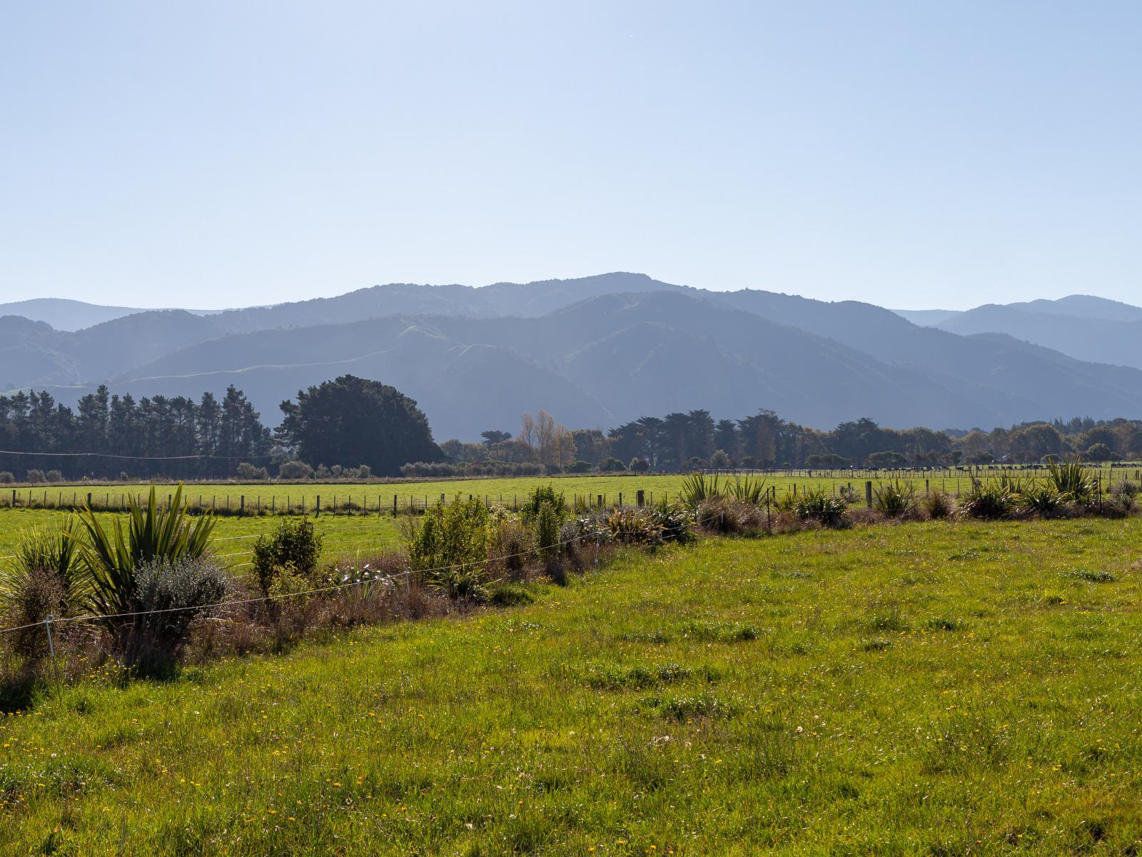 Lots 2 and 4 277 Woodside Road, Greytown