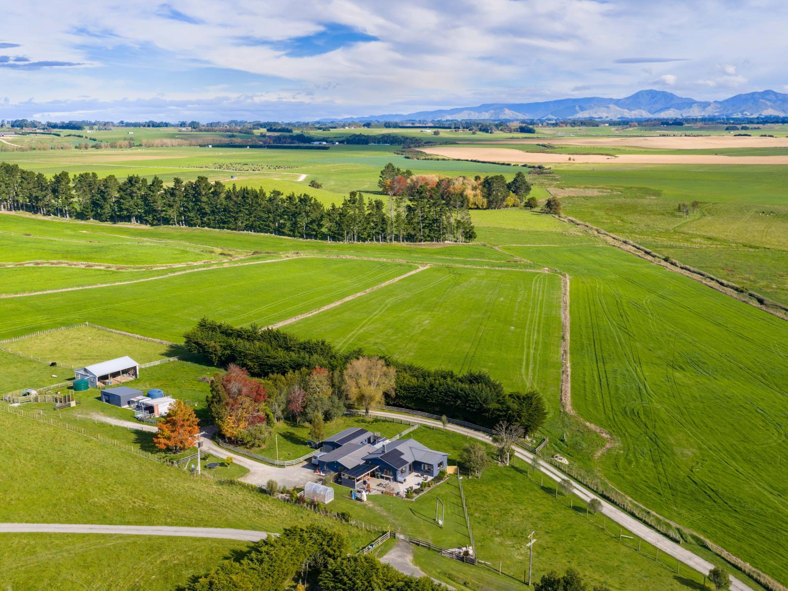 54 Byrne Road, Takapau