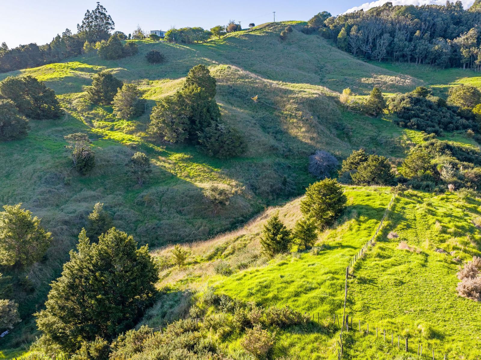61A Porter Road, Paparoa