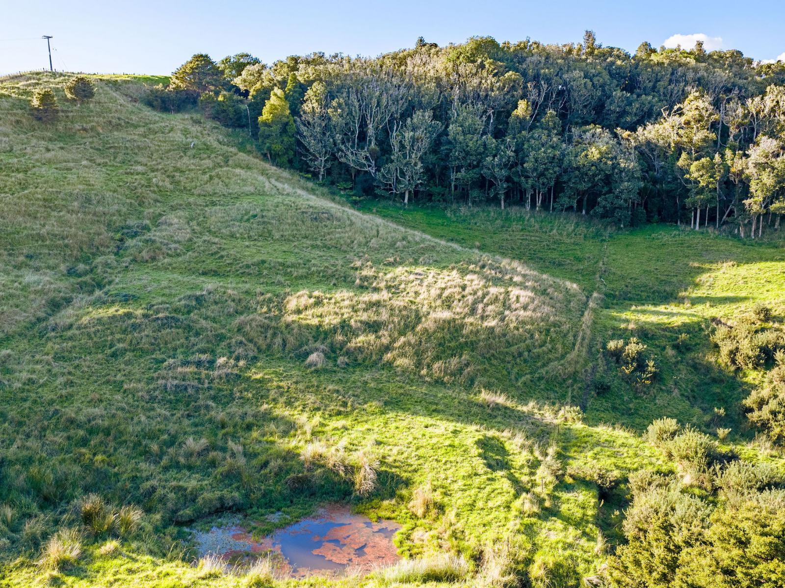 61A Porter Road, Paparoa