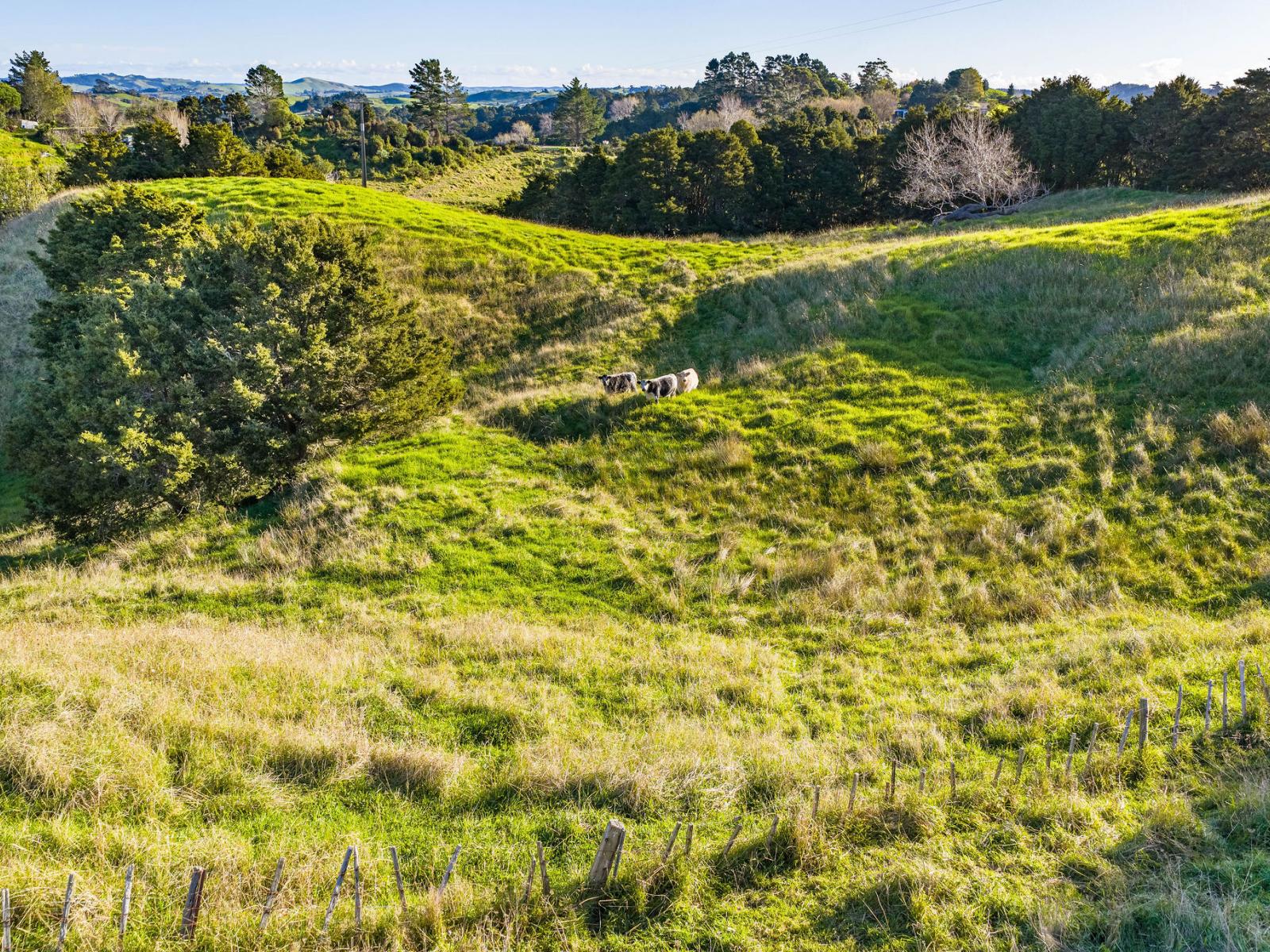 61A Porter Road, Paparoa