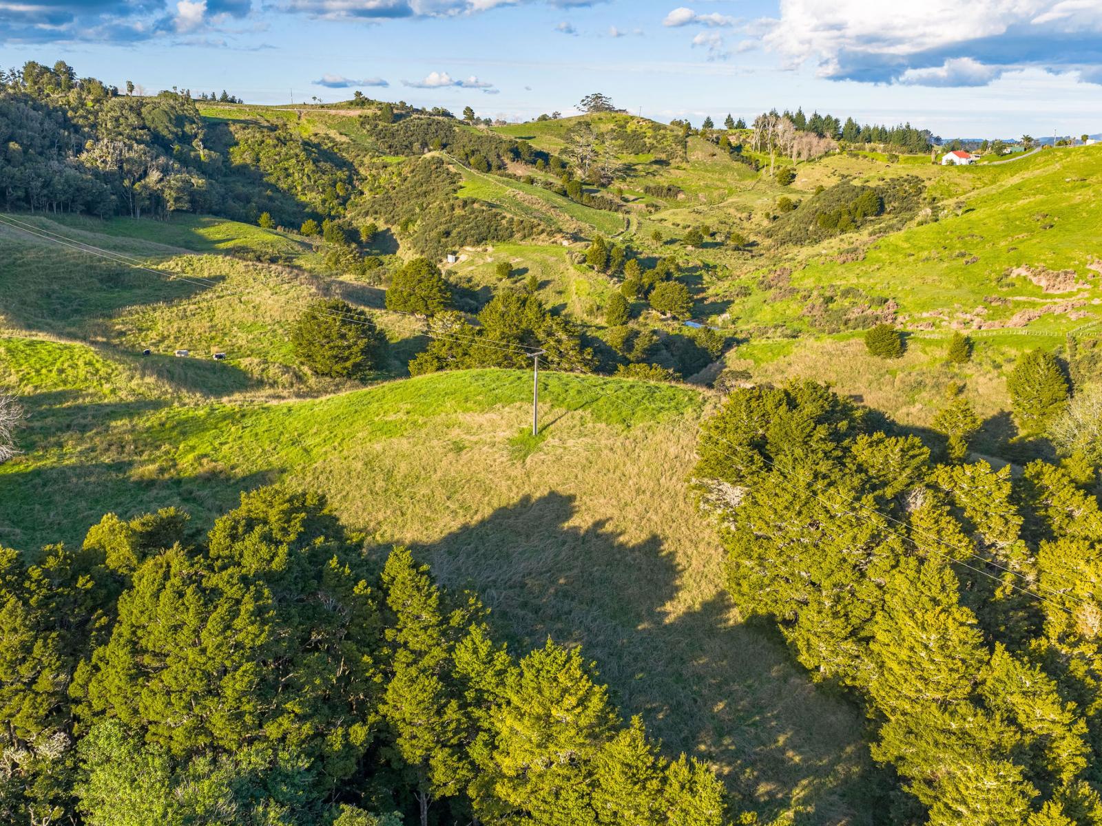 61A Porter Road, Paparoa