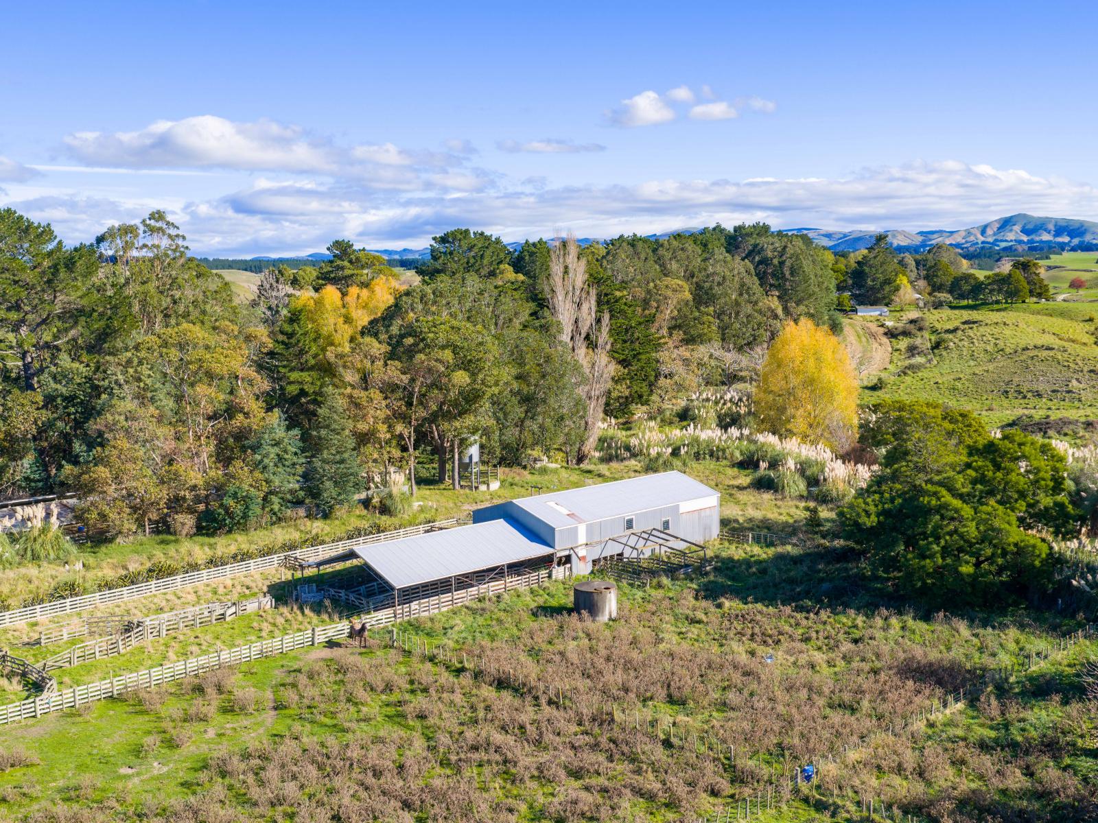 254 Wilder Road, Porangahau