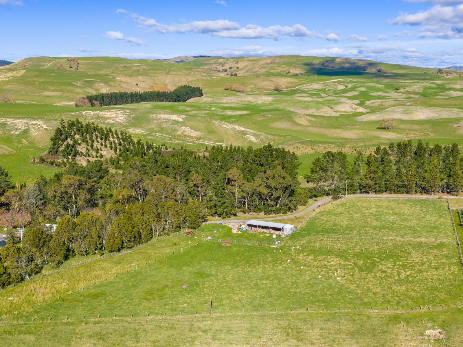 254 Wilder Road, Porangahau