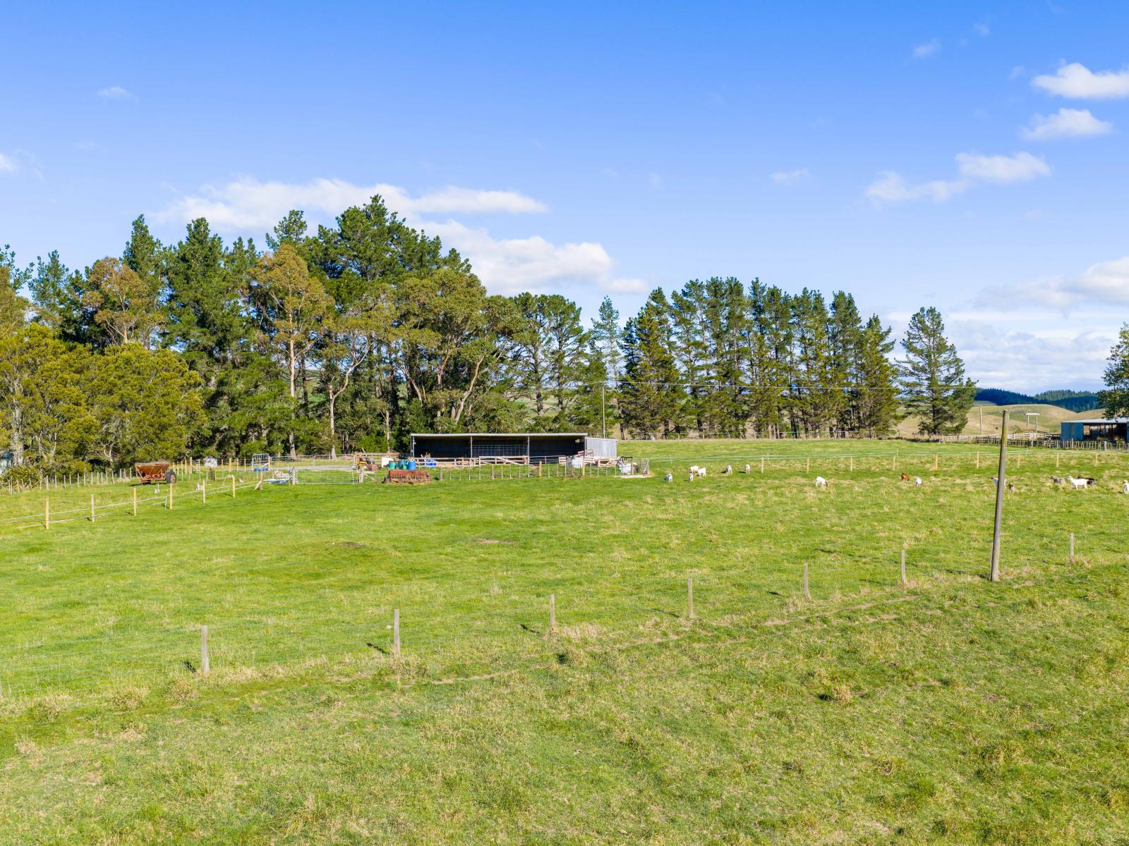 254 Wilder Road, Porangahau