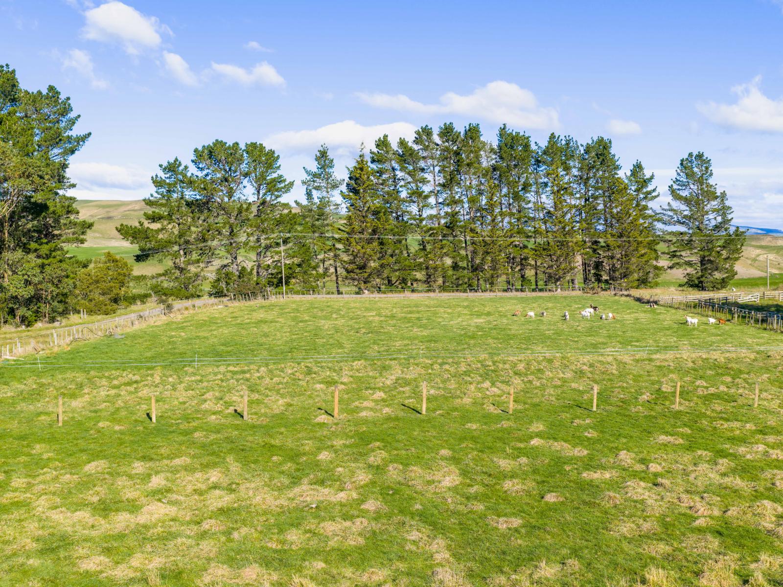 254 Wilder Road, Porangahau